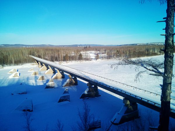 IMG_20151218_110235.jpg